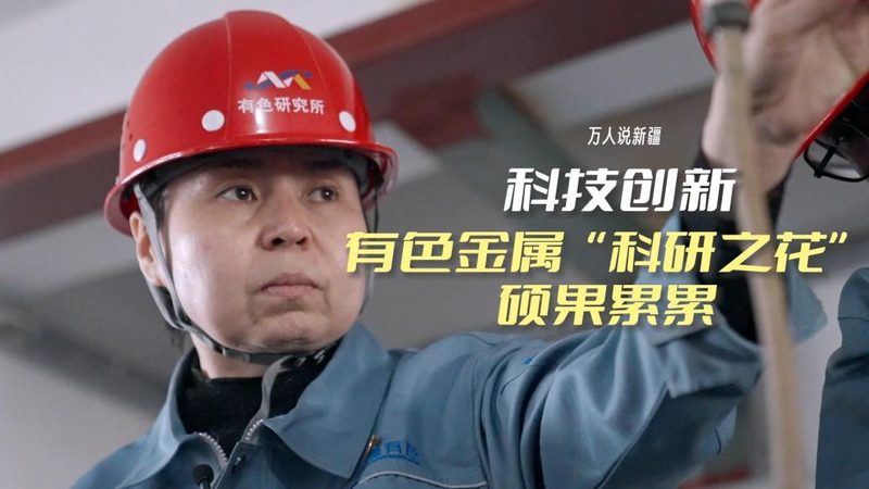 北京企业搜索安全配置：如何构建稳固的网络安全防线